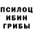Галлюциногенные грибы Psilocybe Pro100_4eLoVek