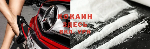прущие грибы Армянск