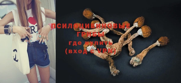 экстази Арсеньев