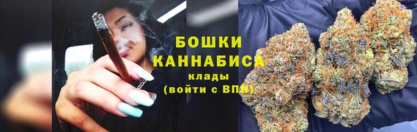 прущие грибы Армянск