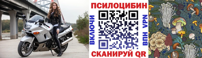 Галлюциногенные грибы Magic Shrooms  это какой сайт  Камбарка 